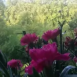 فندق مبيت وإفطار Le Dormeur Du Val Le Mas-dʼAgenais