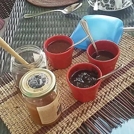 ベッド・アンド・ブレックファスト Le Dormeur Du Val Le Mas-dʼAgenais