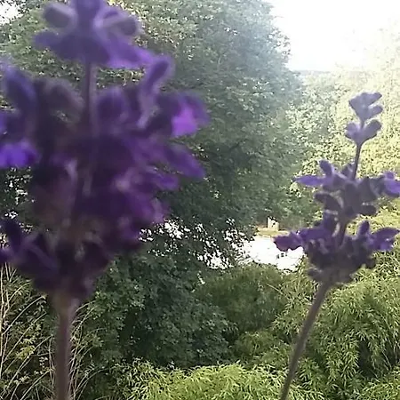 Le Dormeur Du Val