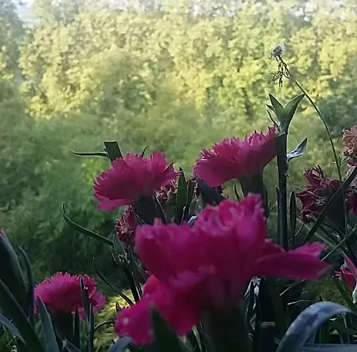 Bed & Breakfast Le Dormeur Du Val Le Mas-dʼAgenais